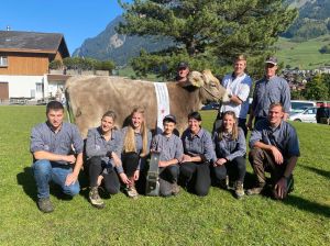 Champion Rind Highlight Holiday von Schallberger